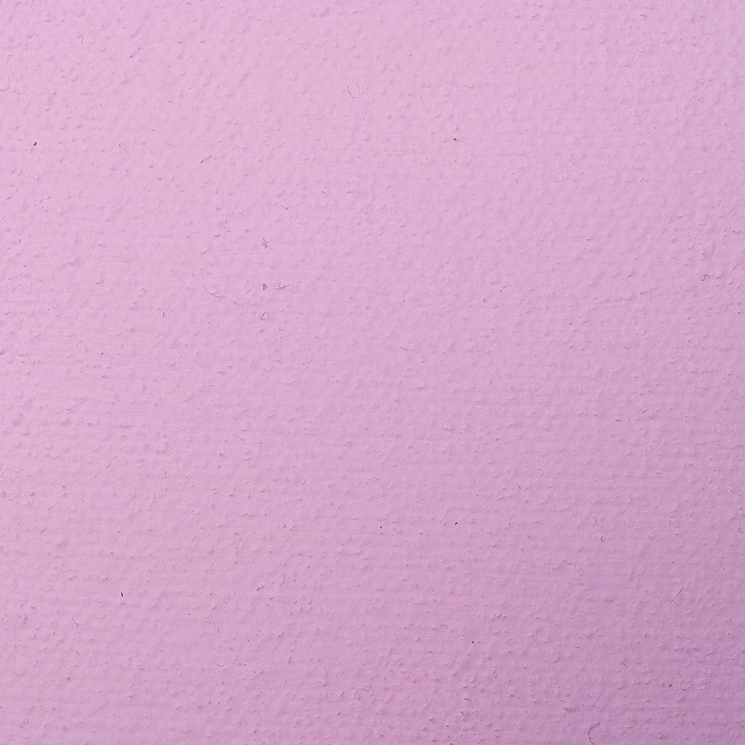 Pintura Acrílica Rosa Avellana