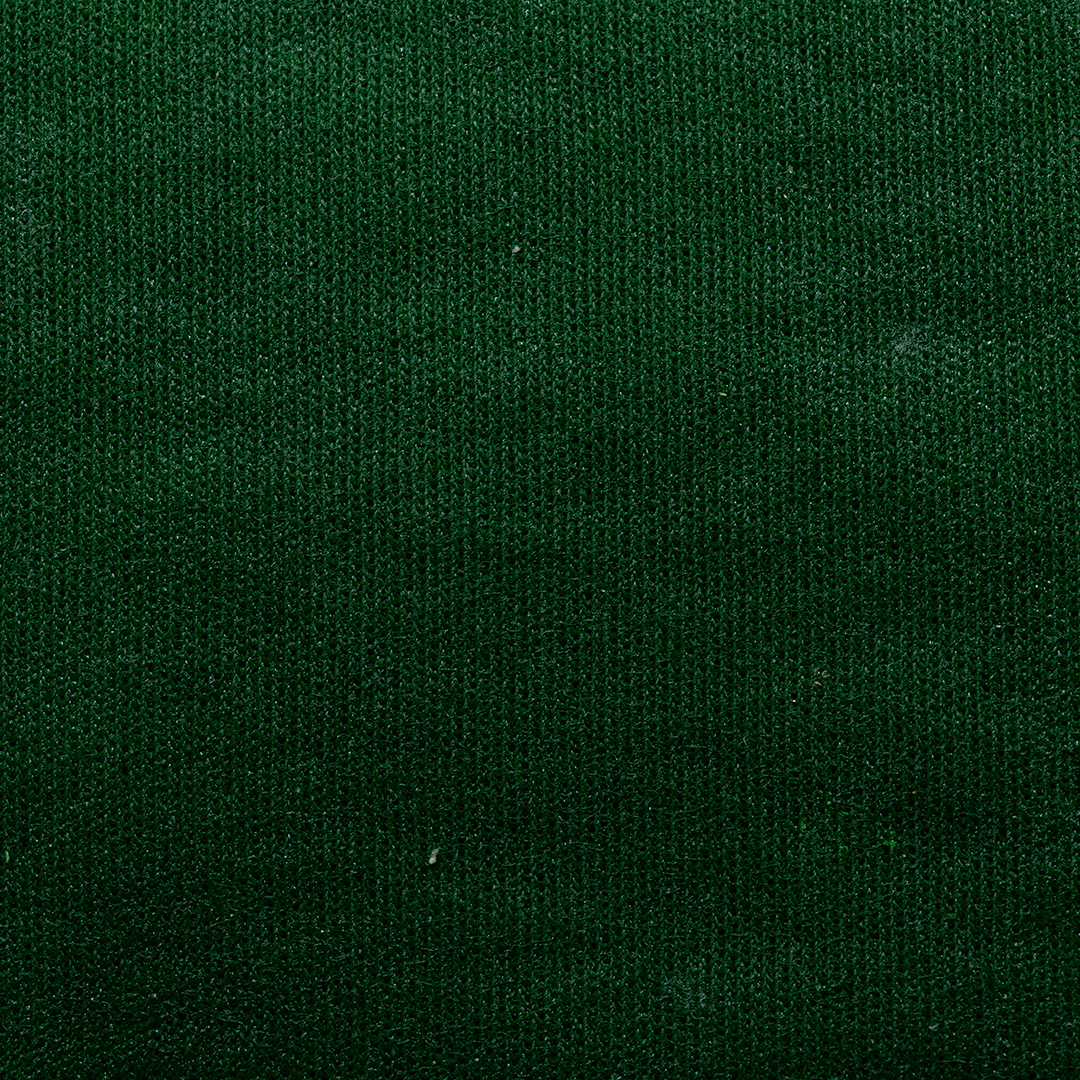 Pintura Tela Verde Iguana