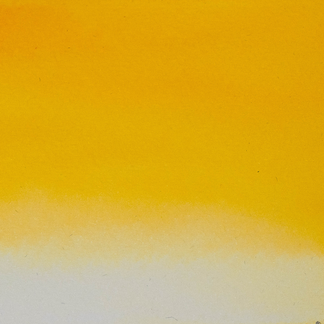 Ecolin Amarillo Profundo