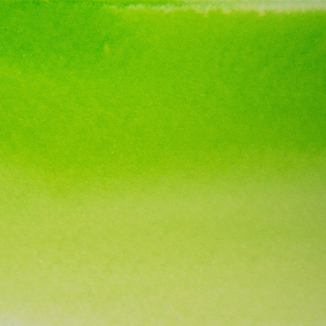 Ecolin Verde Limón