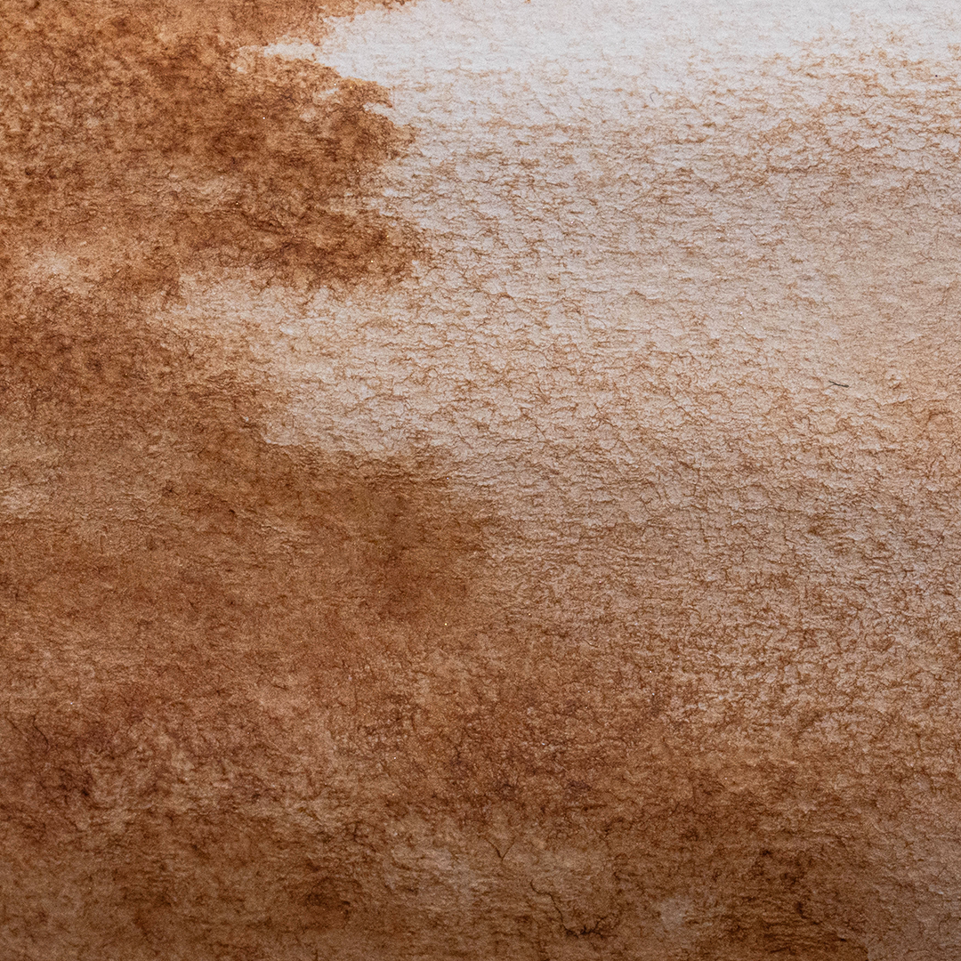 Acuarela Sombra Tostada