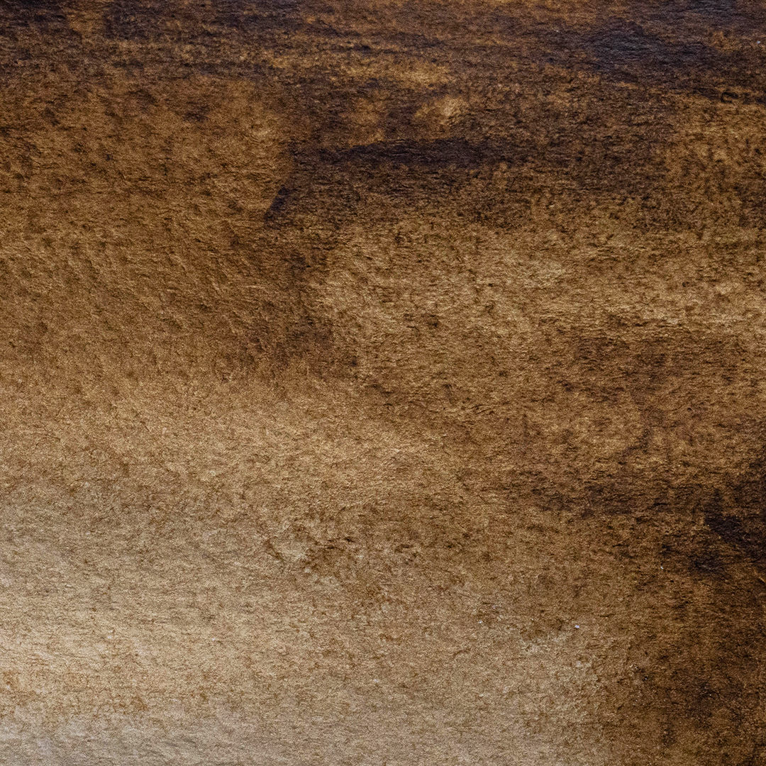 Acuarela Sombra Natural