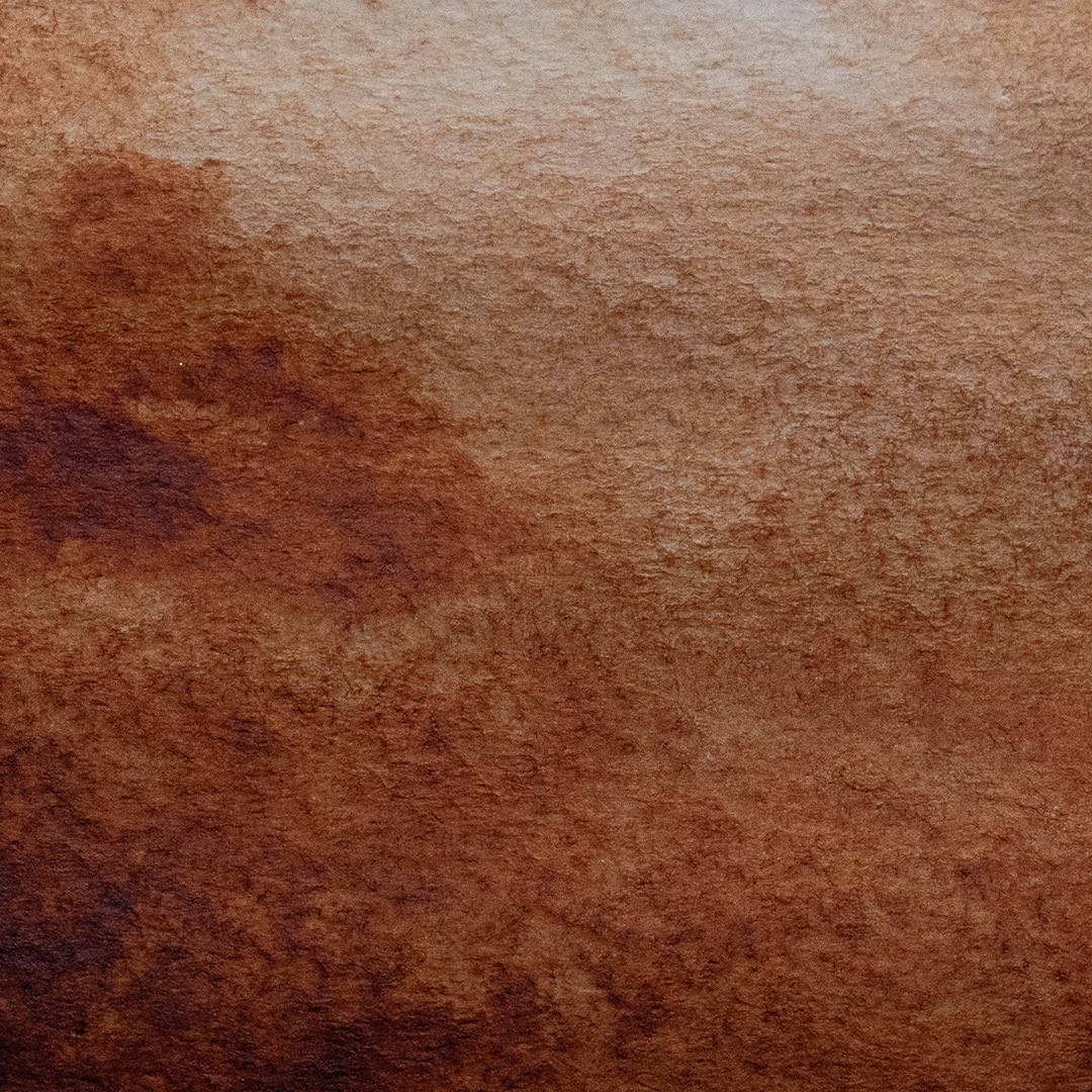 Acuarela Siena Tostada