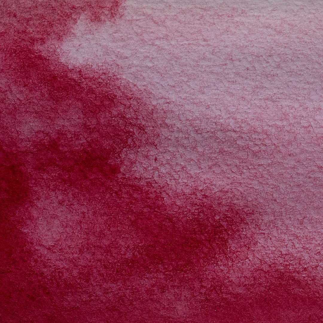 Acuarela Rojo Carmin