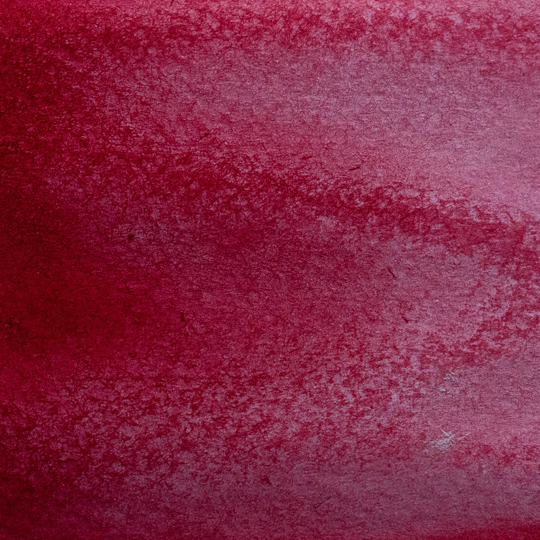 Acuarela Escarlata