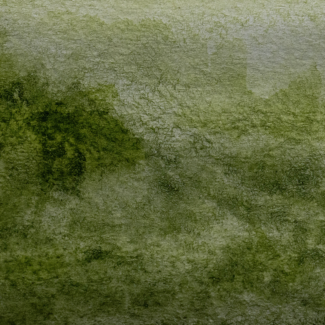 Acuarela Verde Vejiga