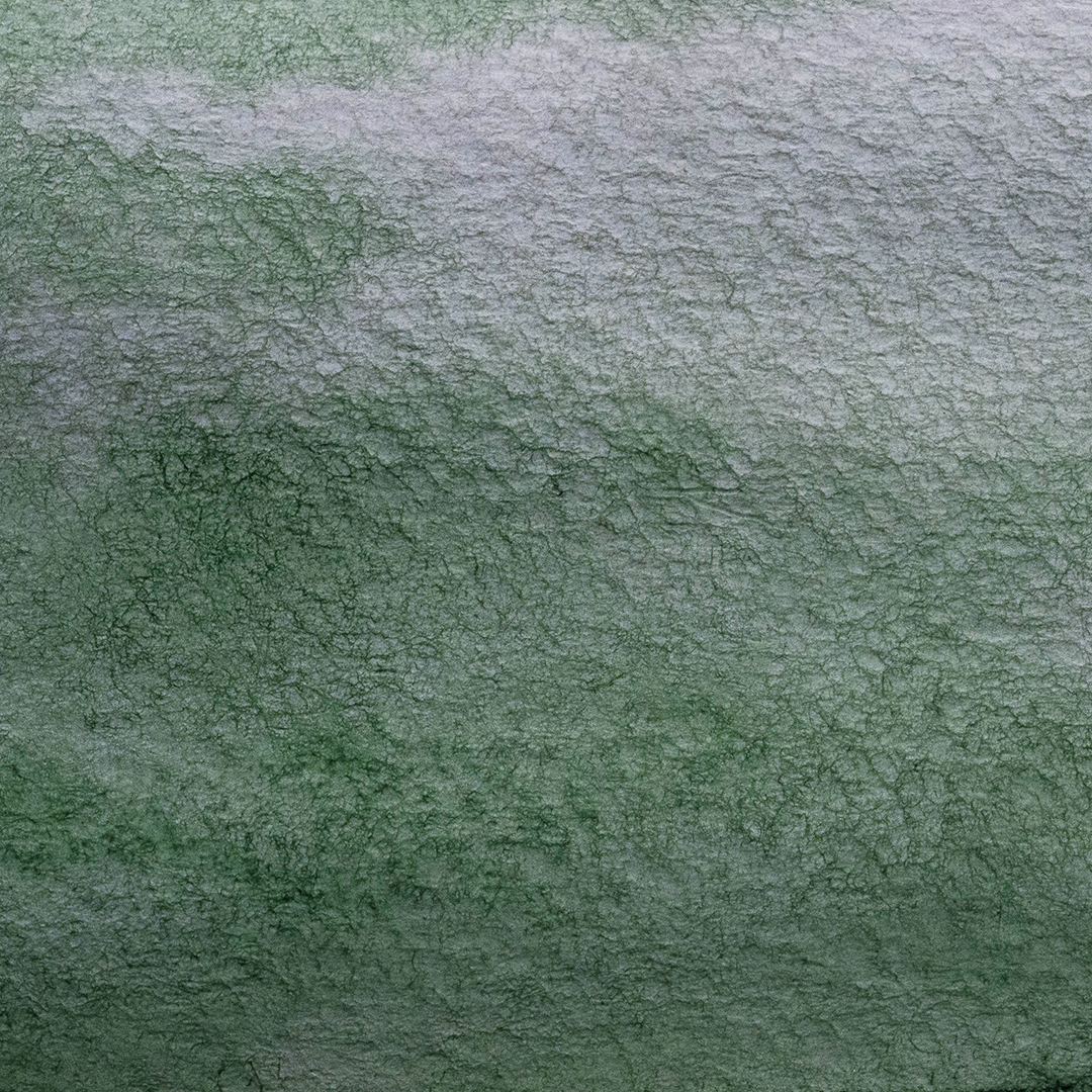 Acuarela Verde Hooker´S